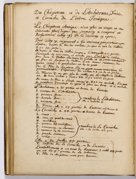 image Image 78 for Vol 1
