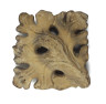 image Image 2 for MP250