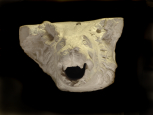 Head of a Roman drain or waterspout