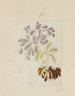 image Image 1 for 58/11/98