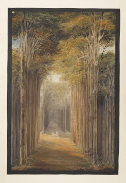 image Image 2 for 86/1/7