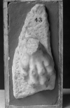 The paw of a sphinx-type foot/base from the support/ leg of a piece of Roman furniture