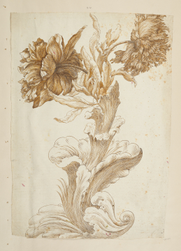 image Image 2 for 58/11/24