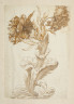 image Image 2 for 58/11/24