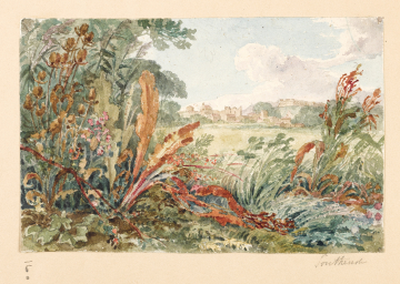 image Image 16 for Vol 163