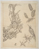 image Image 2 for 58/11/34