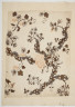 image Image 1 for 58/11/62