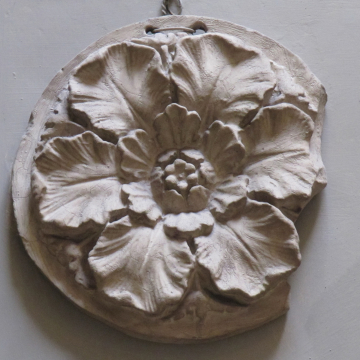 image SC37