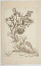 image Image 1 for 58/11/18