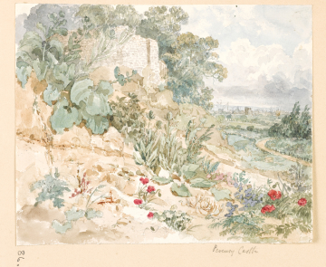 image Image 83 for Vol 163