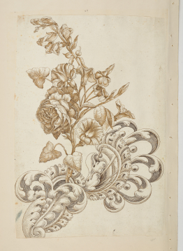 image Image 1 for 58/11/23