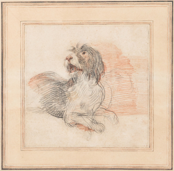 image Image 1 for P331