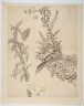 image Image 2 for 58/11/35