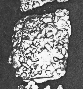 image MP183