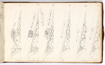 image Image 34 for Vol 161