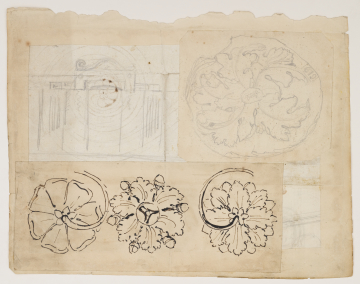 image Image 4 for 91/4/1