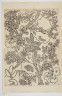 image Image 2 for 58/11/36