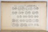 image Image 1 for Vol 95/38 verso