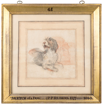 image Image 2 for P331