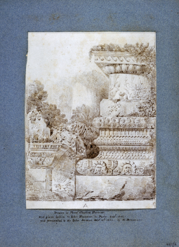 image 48/5/6