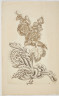 image Image 2 for 58/11/26