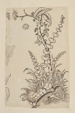 image Image 1 for 58/11/40