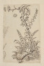 image Image 1 for 58/11/40