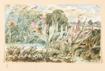 image Image 18 for Vol 163