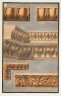 image Image 2 for 24/6/2