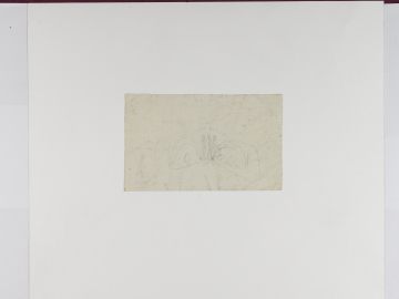 image Image 4 for 64/2/1