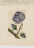 image Image 1 for 58/11/70