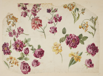 image Image 1 for 58/11/86
