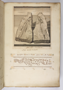 image Image 3 for Vol 94/7