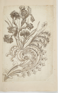 image Image 1 for 58/11/19