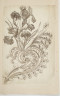image Image 1 for 58/11/19