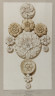 image Image 1 for Vol 82/102