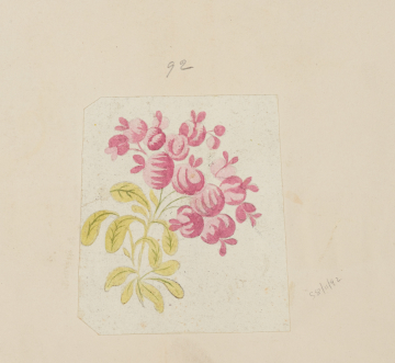 image Image 1 for 58/11/92