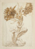 image Image 1 for 58/11/24