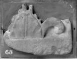 Fragment of a Roman carved antefix or a cresting plaque.  The main leaf and broad fillet core would have to be from an antefix of rather unusual enrichment or if it is a section of cresting relief then from one analogous in use to Soane S89 (Vermeule 129). 