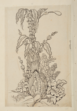 image Image 2 for 58/11/27