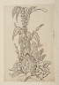 image Image 2 for 58/11/27