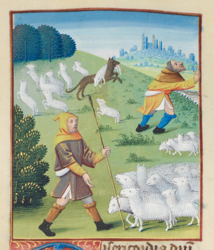 image Image 191 for Vol 139