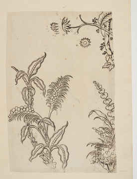 image Image 1 for 58/11/41