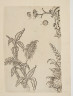 image Image 1 for 58/11/41