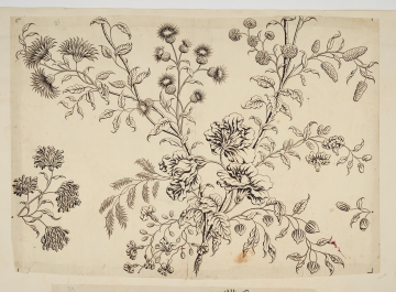 image Image 2 for 58/11/38