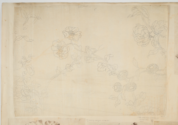 image Image 2 for 58/11/5