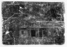 image Image 1 for P432