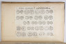 image Image 2 for Vol 95/38 verso