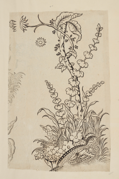 image Image 2 for 58/11/40