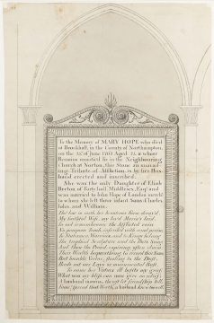 image SM Adam Volume 19/44